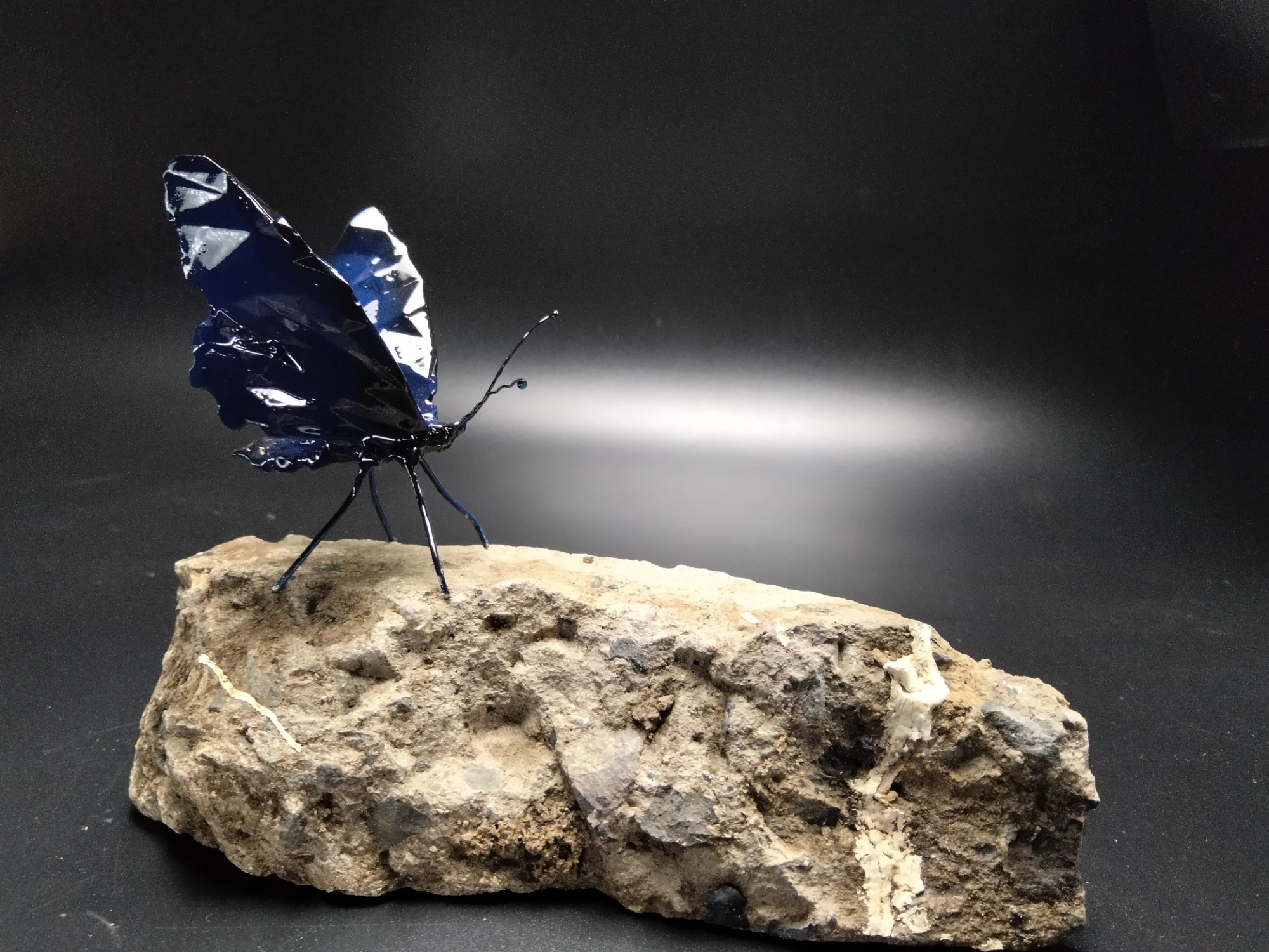 The Blue Butterfly beside the Genesis Shell Fragment — Summer III