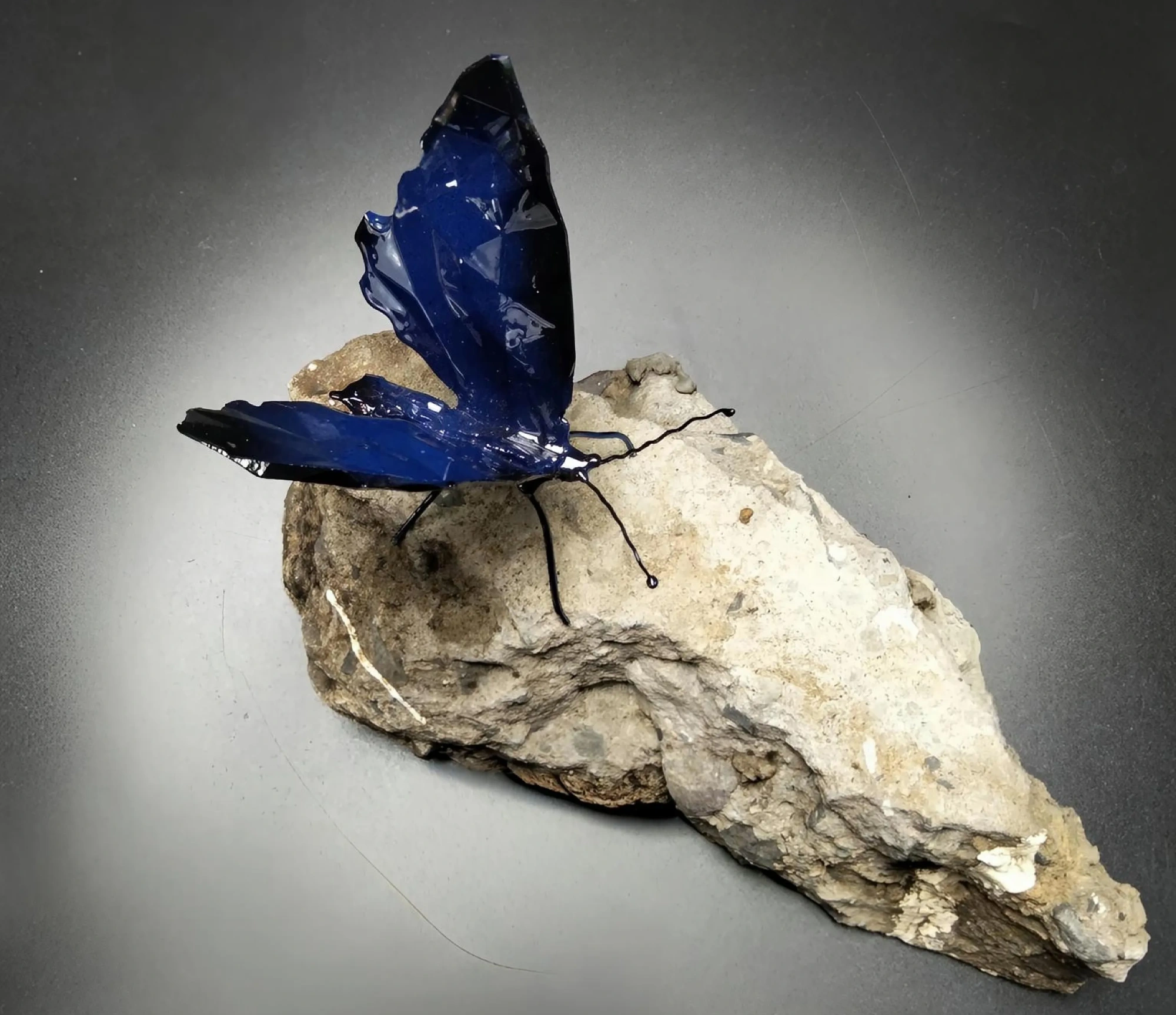 The Blue Butterfly — Spring I